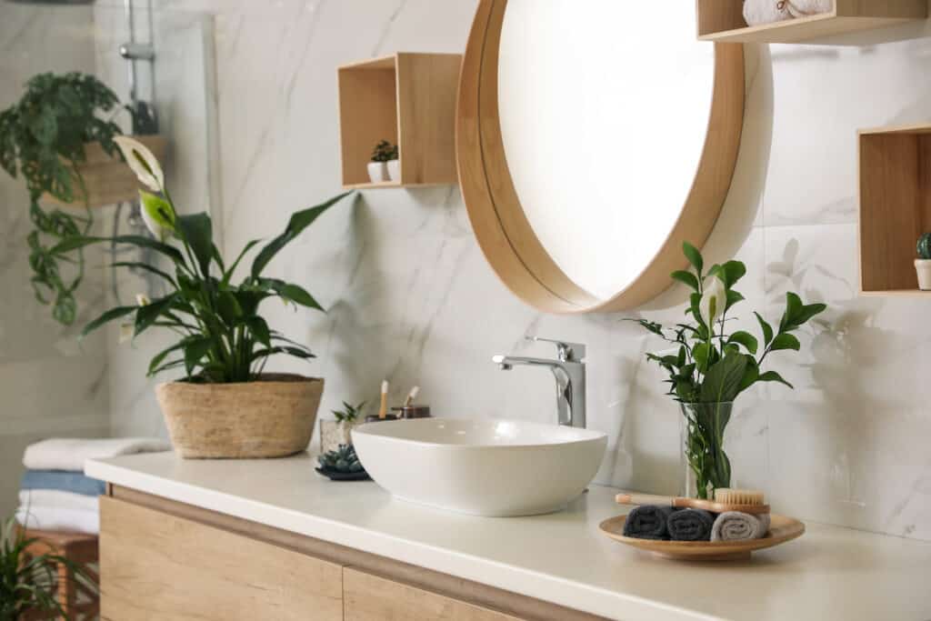 Beautiful green plants near vessel sink on countertop in bathroom. Interior design
